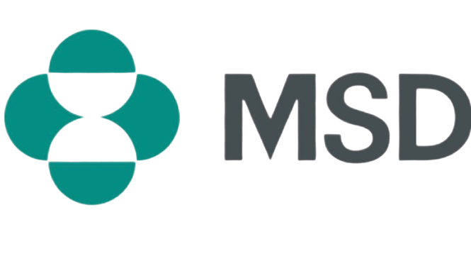 msd - JIPT